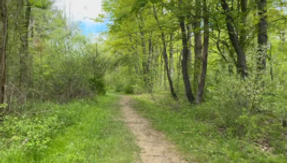 Scenic River Retreat Trail Construction