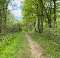 Scenic River Retreat Trail Construction