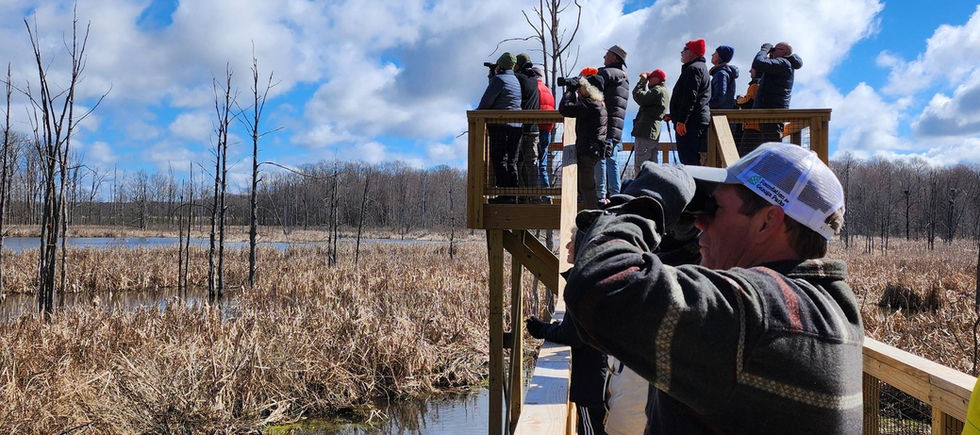 people looking through binoculars at lake