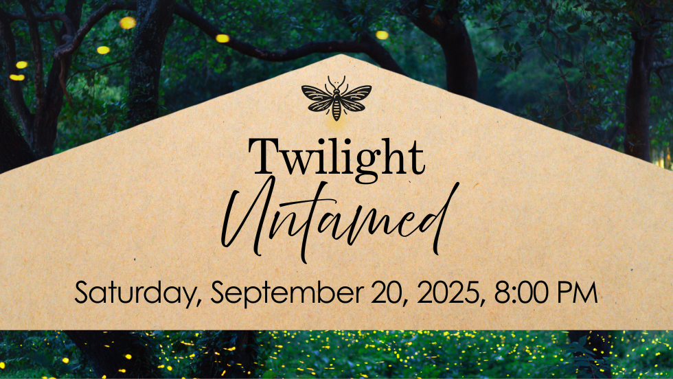 Twilight Untamed
