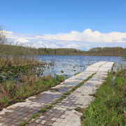 Burton Wetlands Nature Preserve