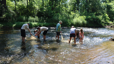 People catching water creatures in Chagrin River