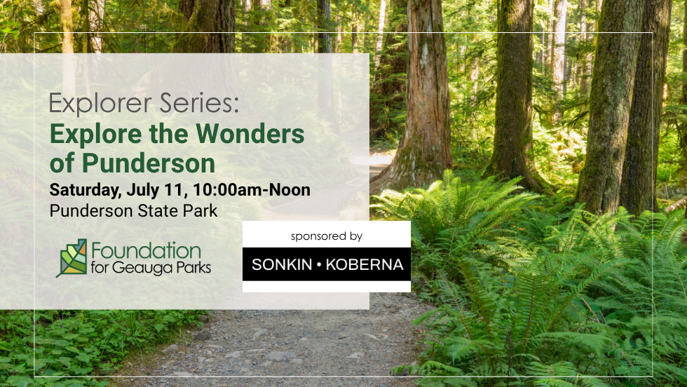 Explore the Wonders of Punderson