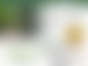 Total funds raised on Giving Tuesday