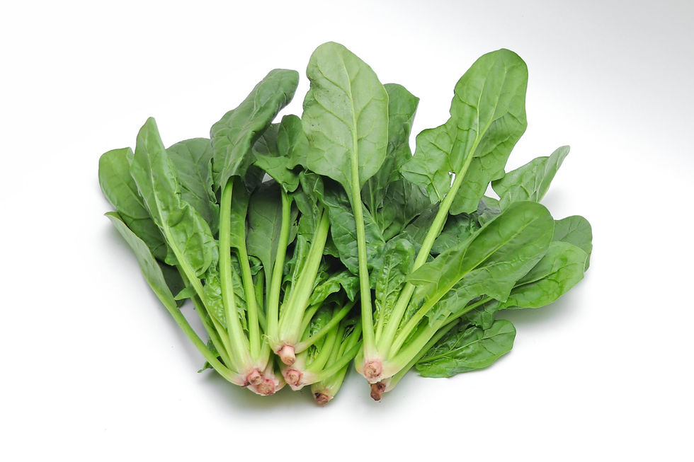 有機ほうれん草