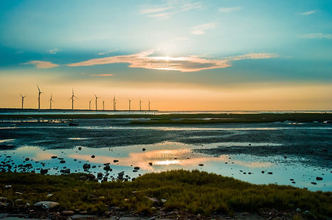 Proporcionar formación en SAP para industrias de energías renovables