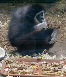 DSC01352_edited.jpg