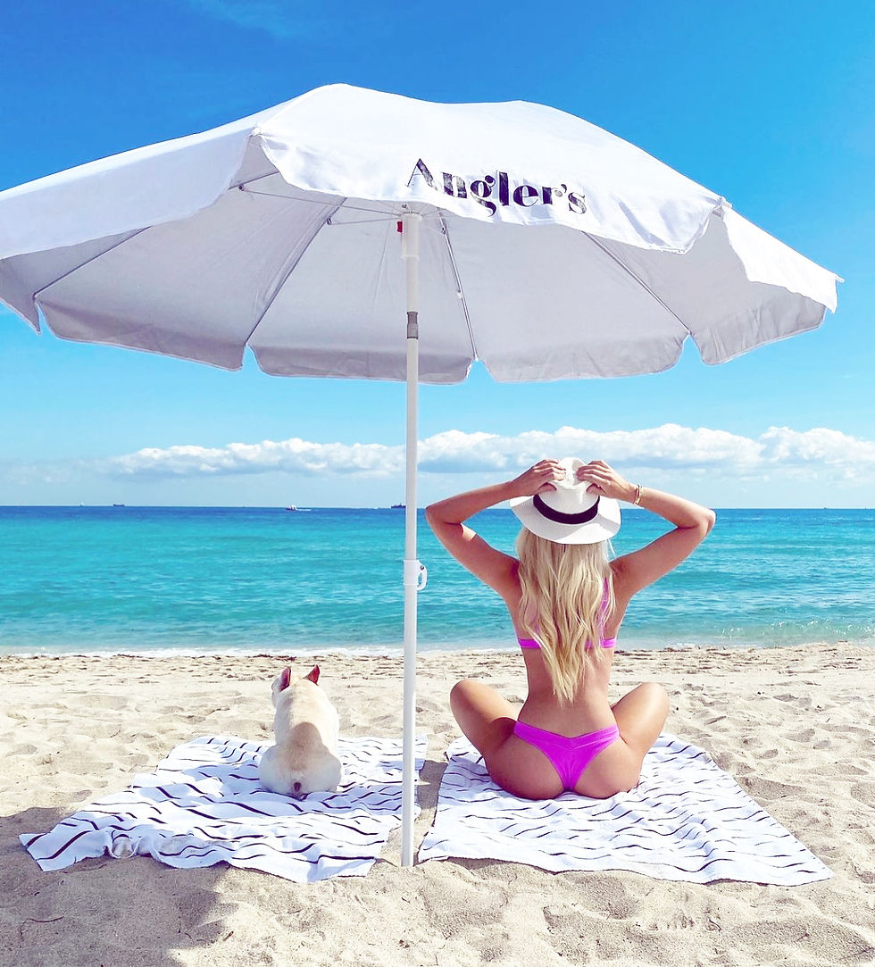 best french bulldog breeder cleveland ohio