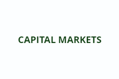 capital market.PNG