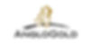 ANGLO GOLD
