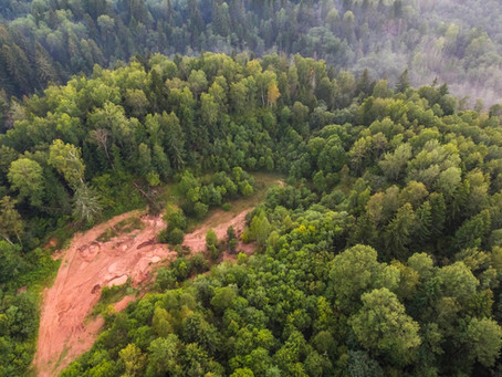 DRONES SÃO USADOS PARA EVITAR CRIMES AMBIENTAIS EM BÚZIOS