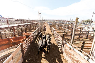 OKNatStockyardsOct2016_188.jpg
