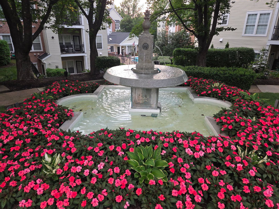 image000000_9