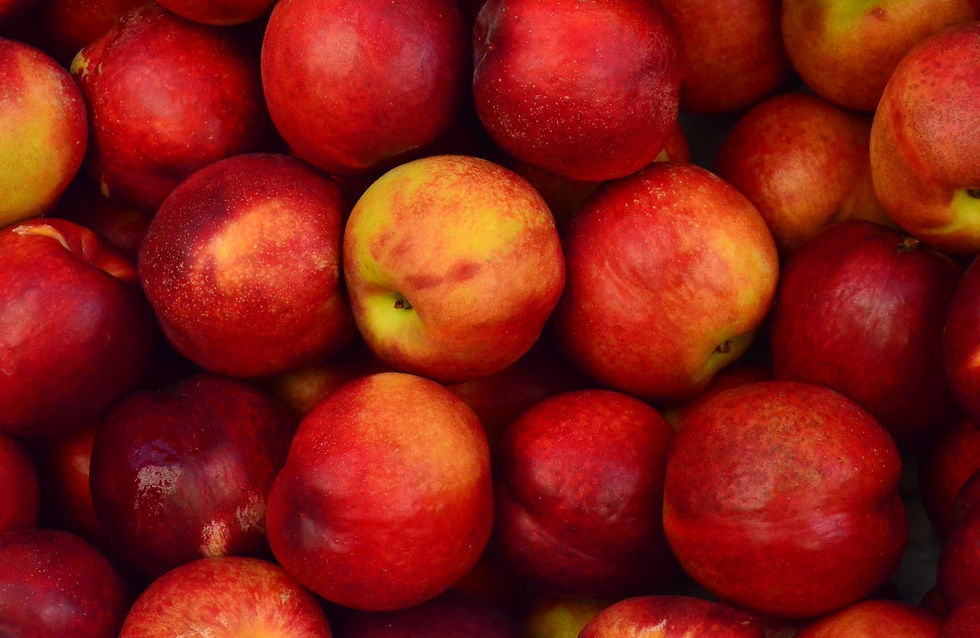 La Vie en Fruits pommes locales verger éco-responsable