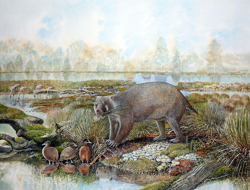 Painting reconstruction of Mukurpina nambensis featuring ducks and flamingoes from the same period