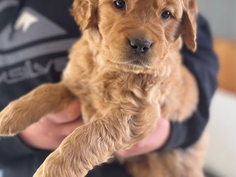 6 weeks old! 😍😍