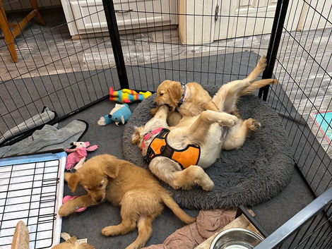 Does it get any cuter!? 😍