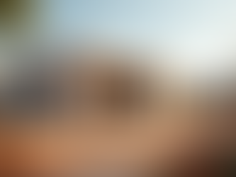 IMMYA: Expertise en Construction Durable et Équitable