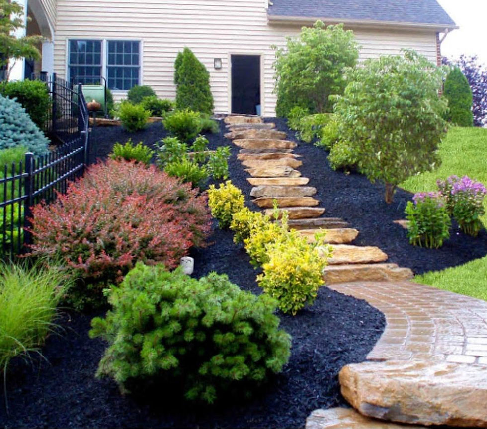 Landscaping_1.jpg