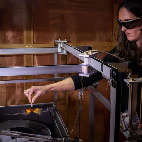 Work from the lab featured in National Geographic Magazine