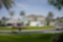 A person walking a dog in a residential neighborhood