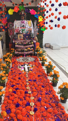 WhatsApp Image 2022-12-10 at 11.34.21 AM (1).jpeg