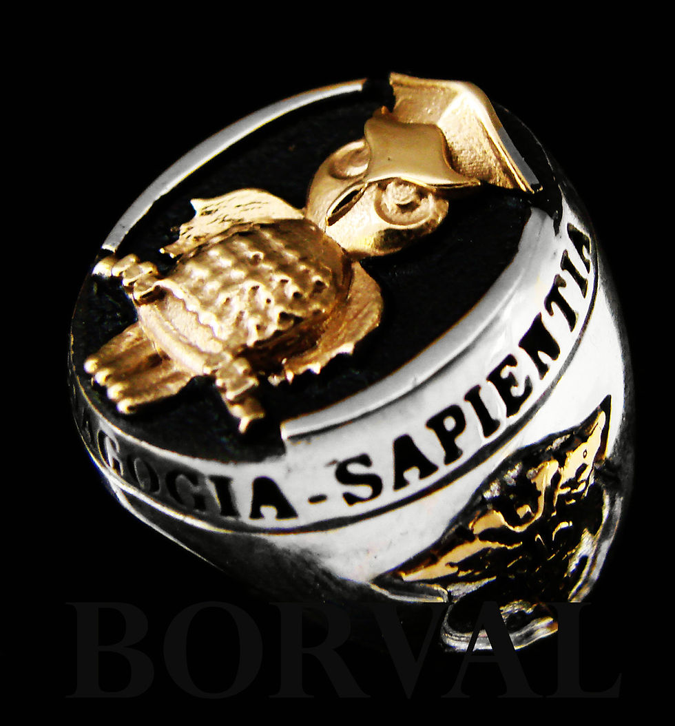 Miniatura: Anel Pedagogia - Masculino e Feminino, Prata 925 - detalhes com banho de Ouro
