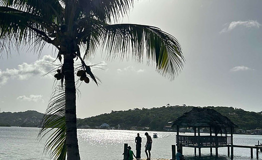 Roatan2476.jpg