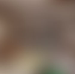 Boutique Monetti Napoli: oltre un secolo di eccellenza nell’alta orologeria