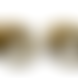 ETRUSCHI E VENETI. ACQUE, CULTI E SANTUARI