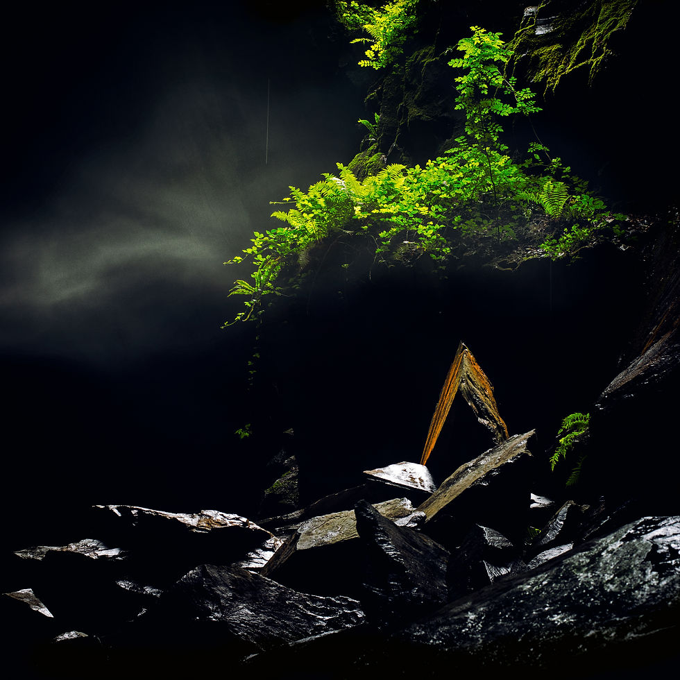 One to One Photography Tuition with Rod Ireland