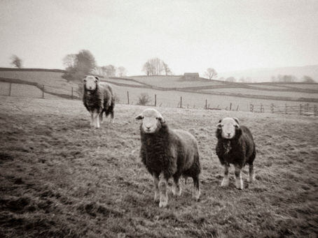 'Holga Visions' Project - Zine Launch!