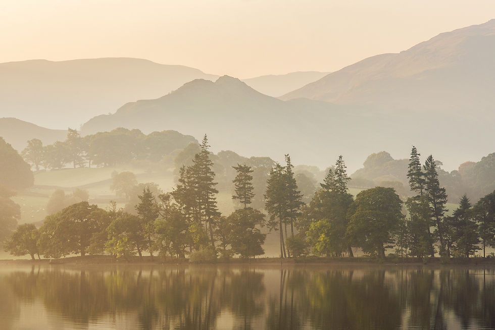 One to One Photography Tuition with Rod Ireland