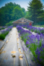 Thumbnail: lavender handmade naturel soap bar