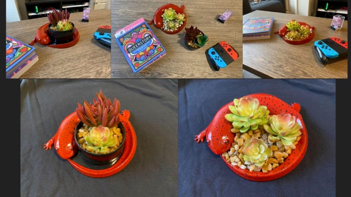 Salamander Succulent Vessel