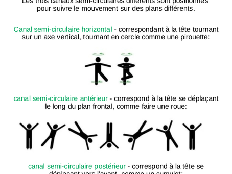 Comprendre les mouvements vestibulaires 