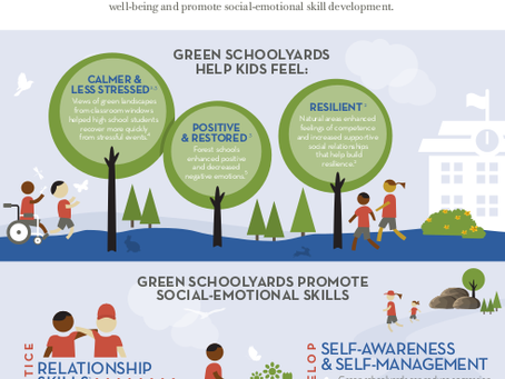 Green schoolyards can provide mental health benefits 
 