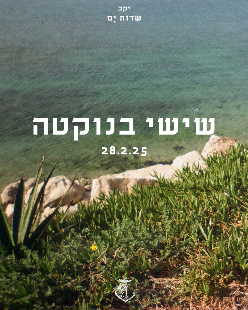 שישי בנוקטה