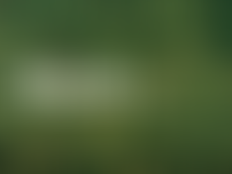 أتلاي 2.0 يقدم جيلًا جديدًا من الذكاء المناخي بميزات متطورة لتحليل البيانات البيئية ودعم الحلول المستدامة.