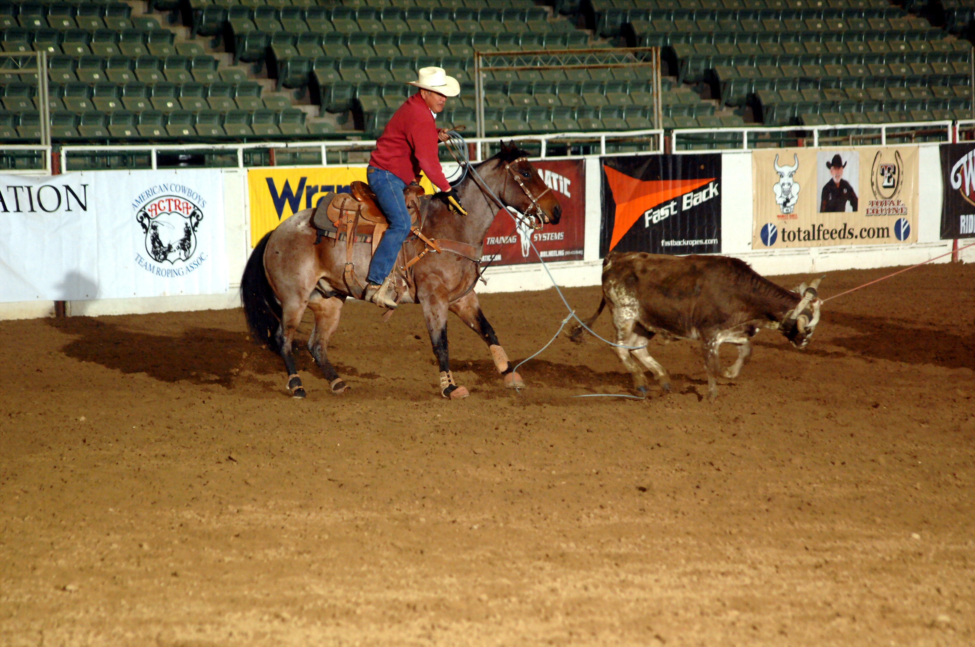 american team roping ass American team roping ass