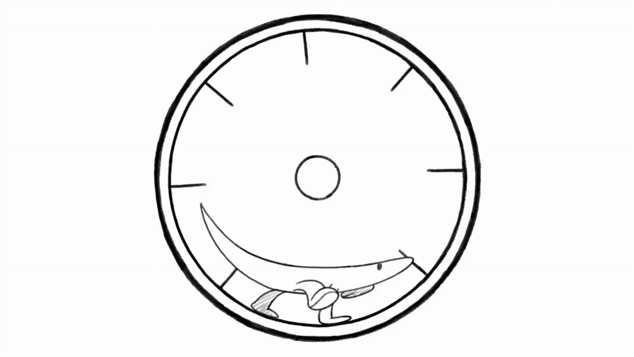 KakaoTalk_20260130_014940486 (2).gif