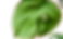 AdobeStock_1048619824_Preview_A-removebg-preview_edited.png
