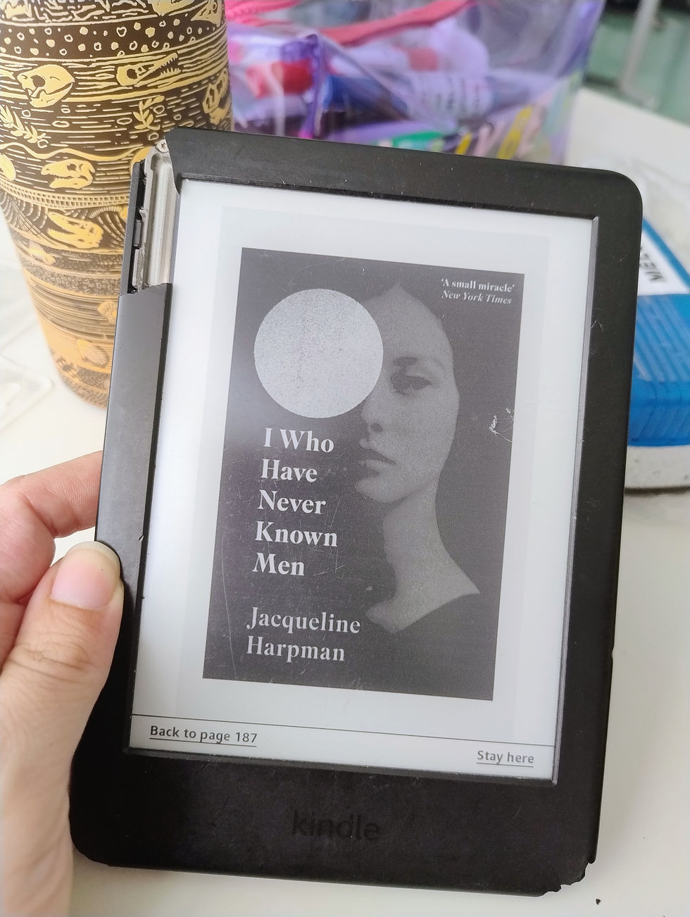 favor ignorar o estado do meu kindle