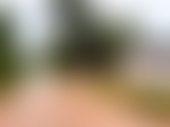 Pelotas em situação de emergência