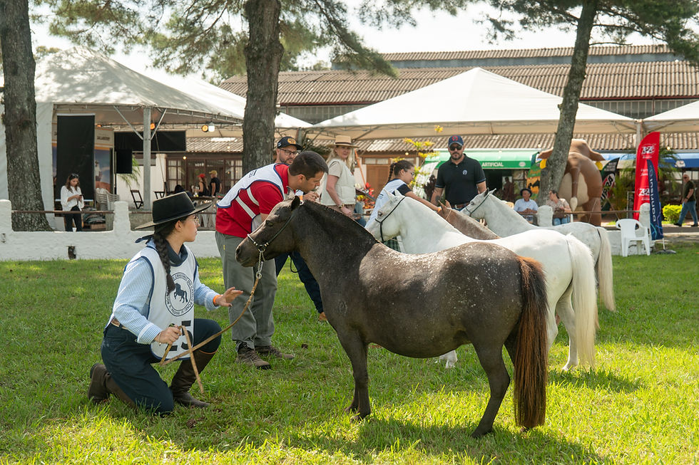 Foto: Patrick Quadros