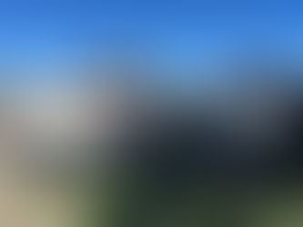 Brigada Militar prende homem por furto de carga em Canguçu