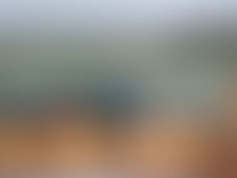 Críticas ao governo Marroni marcam última sessão representativa em Pelotas