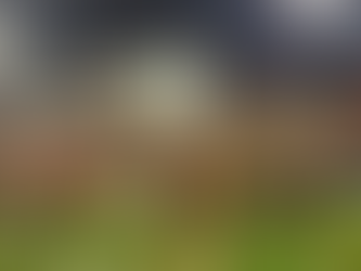 Brasil é campeão da Copa FGF de forma invicta