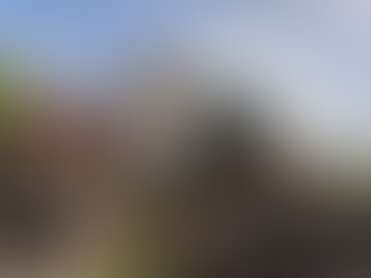 Prefeitura em Ação remove 40 cargas de entulhos no Sítio Floresta