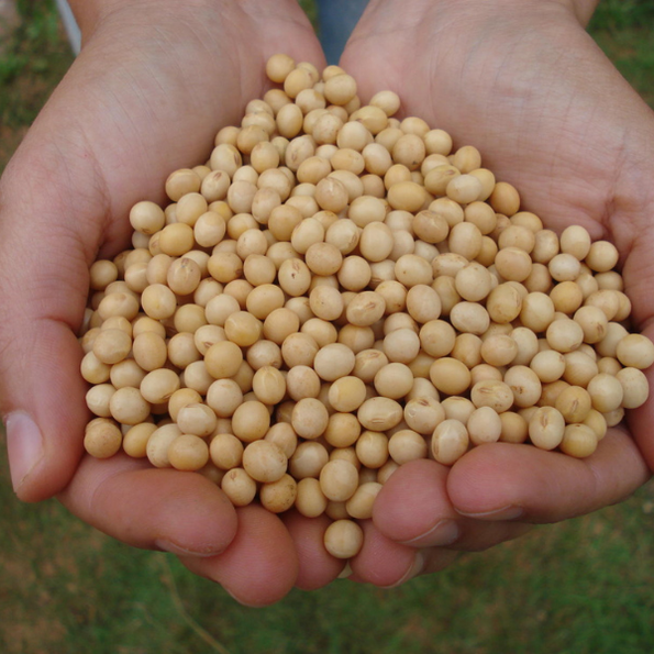 RS exporta US$ 22,6 bilhões em um ano e mantém saldo positivo no comércio exterior